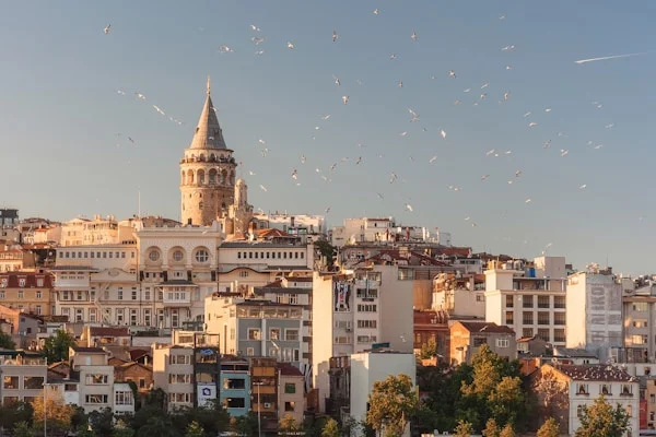 İstanbul Gayrimenkul